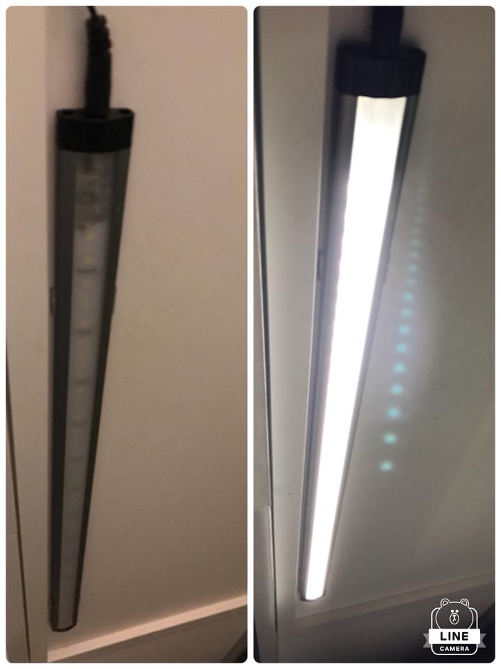 35359405_1053509824800849_4760754300227944448_n