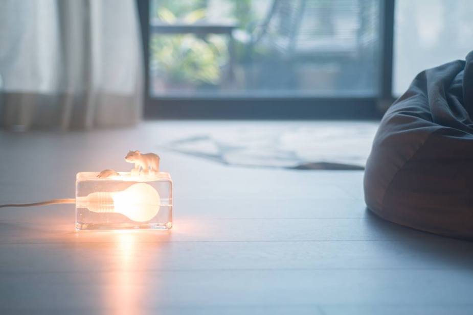 35439506_10212142618741668_1077897204858880000_n