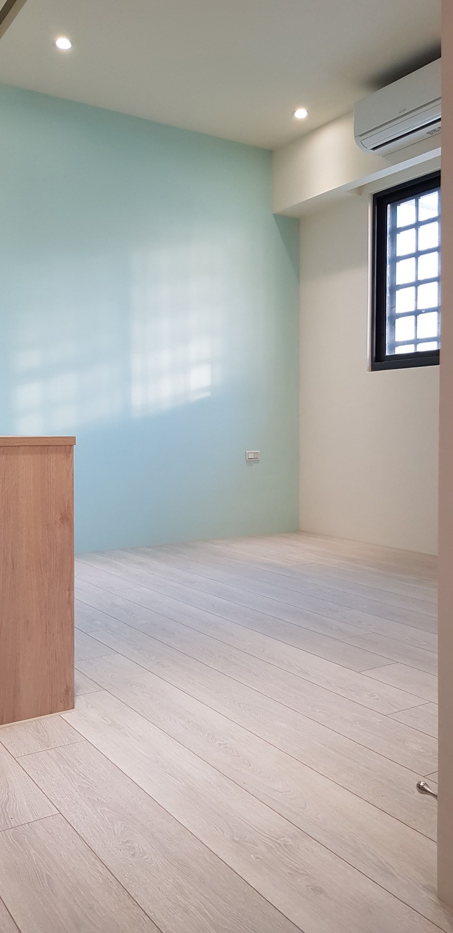 嘉義林育生D2800-13