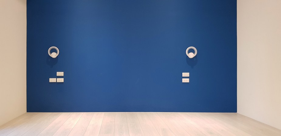 嘉義林育生D2800-4