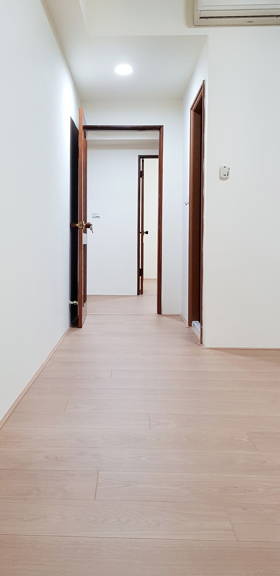 台中陳雅屏D3004-7